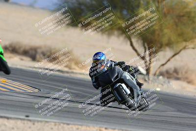 media/Jan-14-2024-SoCal Trackdays (Sun) [[2e55ec21a6]]/Turn 4 Tree of Life (155pm)/